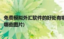 免费模拟外汇软件的好处有哪些(免费模拟外汇软件的好处有哪些图片)