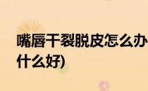 嘴唇干裂脱皮怎么办(嘴唇干裂脱皮怎么办用什么好)