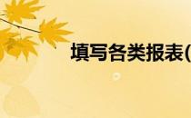 填写各类报表(表报资料填写)