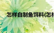 怎样自制鱼饵料(怎样自制钓鱼饵料配方)