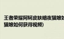 王者荣耀阿轲皮肤暗夜猫娘如何获得(王者荣耀阿轲皮肤暗夜猫娘如何获得视频)