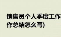 销售员个人季度工作总结(销售员个人季度工作总结怎么写)
