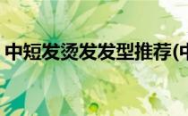 中短发烫发发型推荐(中短发烫发发型推荐男)