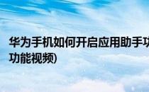 华为手机如何开启应用助手功能(华为手机如何开启应用助手功能视频)