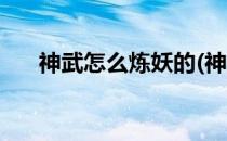神武怎么炼妖的(神武怎么炼妖的装备)