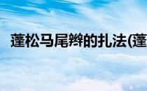 蓬松马尾辫的扎法(蓬松马尾辫的扎法视频)