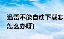 迅雷不能自动下载怎么办(迅雷不能自动下载怎么办呀)