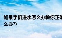 如果手机进水怎么办教你正确处理手机进水(手机进水应该怎么办?)