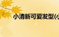 小清新可爱发型(小清新可爱发型女)