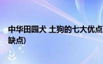 中华田园犬 土狗的七大优点(中华田园犬 土狗的七大优点和缺点)
