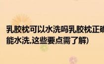 乳胶枕可以水洗吗乳胶枕正确的清洁与保养方法(乳胶枕能不能水洗,这些要点需了解)