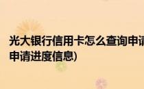 光大银行信用卡怎么查询申请进度(光大银行信用卡怎么查询申请进度信息)