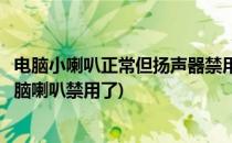 电脑小喇叭正常但扬声器禁用、未插入如何处理(不小心把电脑喇叭禁用了)
