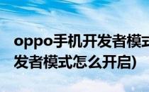 oppo手机开发者模式如何开启(oppo手机开发者模式怎么开启)