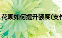 花呗如何提升额度(支付宝花呗如何提升额度)