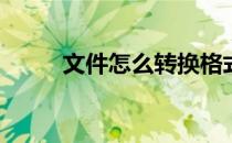 文件怎么转换格式(文件转换格式)