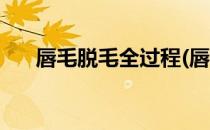 唇毛脱毛全过程(唇毛脱毛全过程图片)