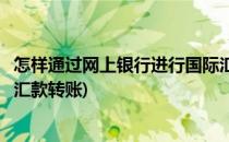 怎样通过网上银行进行国际汇款(怎样通过网上银行进行国际汇款转账)