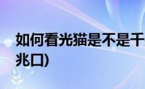 如何看光猫是不是千兆(如何看光猫是不是千兆口)