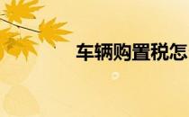 车辆购置税怎么做会计分录