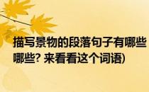 描写景物的段落句子有哪些 来看看(描写景物的段落句子有哪些? 来看看这个词语)