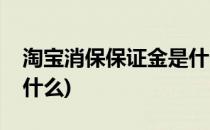 淘宝消保保证金是什么(淘宝的消保保证金是什么)