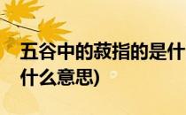 五谷中的菽指的是什么东西(五谷中的菽是指什么意思)