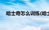 哈士奇怎么训练(哈士奇怎么训练不拆家)