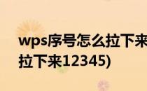 wps序号怎么拉下来12345(word序号怎么拉下来12345)