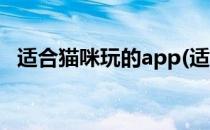 适合猫咪玩的app(适合猫咪玩的平板游戏)