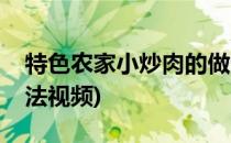 特色农家小炒肉的做法(特色农家小炒肉的做法视频)