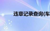 违章记录查询(车辆违章记录查询)