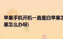 苹果手机开机一直是白苹果怎么办(苹果手机开机一直是白苹果怎么办呀)