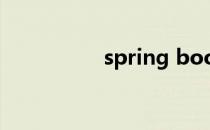 spring boot 菜鸟教程