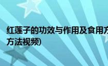 红莲子的功效与作用及食用方法(红莲子的功效与作用及食用方法视频)