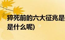 猝死前的六大征兆是什么(猝死前的六大征兆是什么呢)