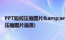 PPT如何压缩图片&amp;一键提取所有素材(ppt如何压缩图片画质)
