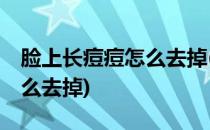 脸上长痘痘怎么去掉(13岁女孩脸上长痘痘怎么去掉)