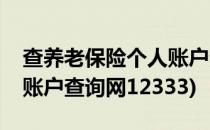 查养老保险个人账户查询网(查养老保险个人账户查询网12333)