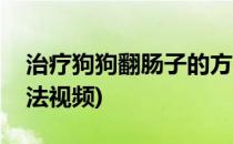 治疗狗狗翻肠子的方法(治疗狗狗翻肠子的方法视频)