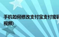 手机如何修改支付宝支付密码(手机如何修改支付宝支付密码视频)