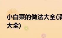 小白菜的做法大全(清蒸肉罐头小白菜的做法大全)