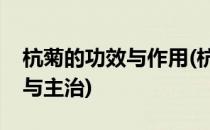 杭菊的功效与作用(杭菊的功效与作用的功能与主治)