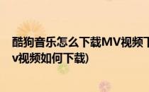 酷狗音乐怎么下载MV视频下载的MV在哪(酷狗音乐上的mv视频如何下载)