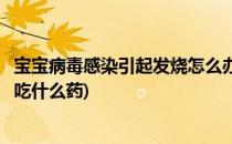 宝宝病毒感染引起发烧怎么办(宝宝病毒感染引起发烧怎么办吃什么药)