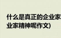 什么是真正的企业家精神呢(什么是真正的企业家精神呢作文)
