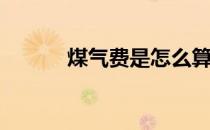 煤气费是怎么算的(煤气费咋算)