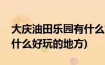 大庆油田乐园有什么好玩的(大庆油田乐园有什么好玩的地方)