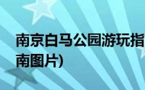 南京白马公园游玩指南(南京白马公园游玩指南图片)