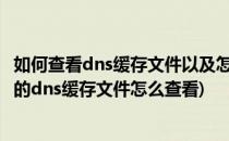 如何查看dns缓存文件以及怎么清除电脑dns缓存(windows的dns缓存文件怎么查看)